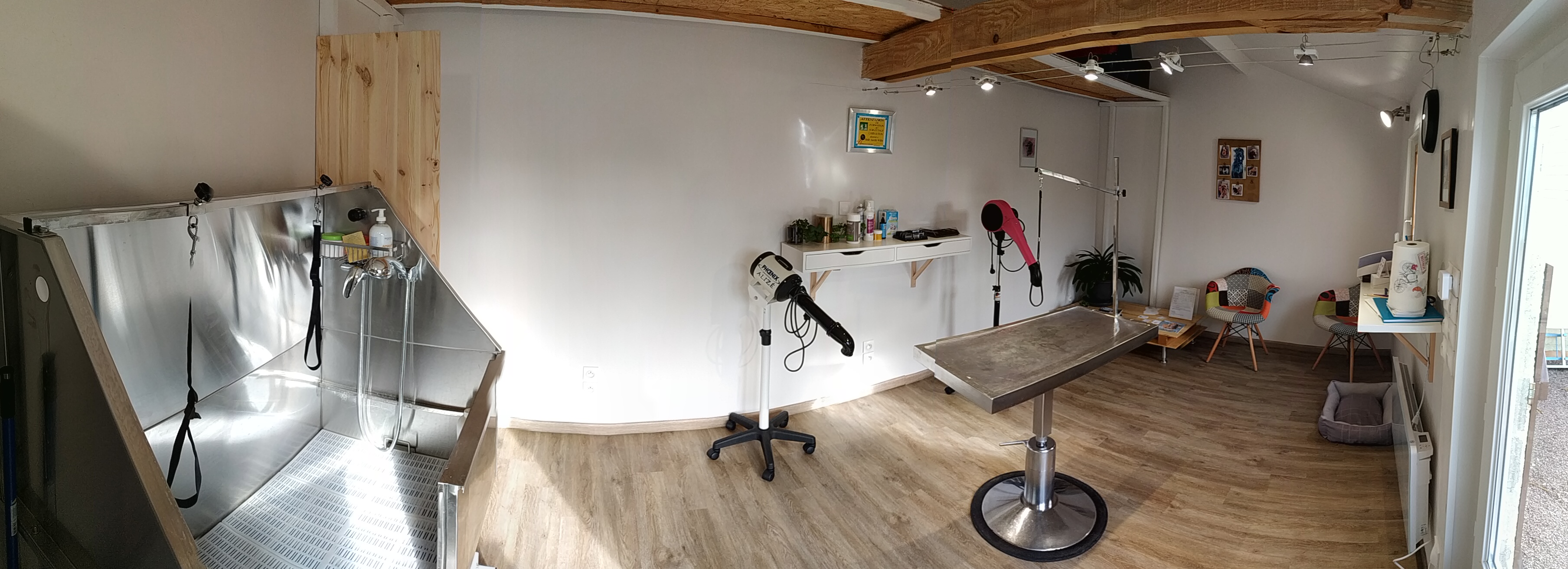 Le Salon Ô Chien Pacha, Salon de toilettage Canin & Félin à Canapville / Vimoutiers 15 min Le Salon Ô Chien Pacha, Salon de toilettage Canin & Félin à Canapville / Vimoutiers 15 min