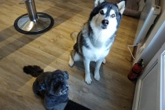 Ally & Yoshi