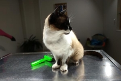 Niro