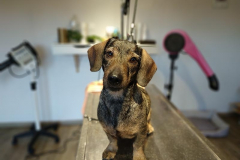Lilou