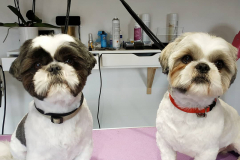 Largo et Lucky